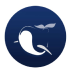 OCEAN_海洋公链_Ocean_OCEAN交易所