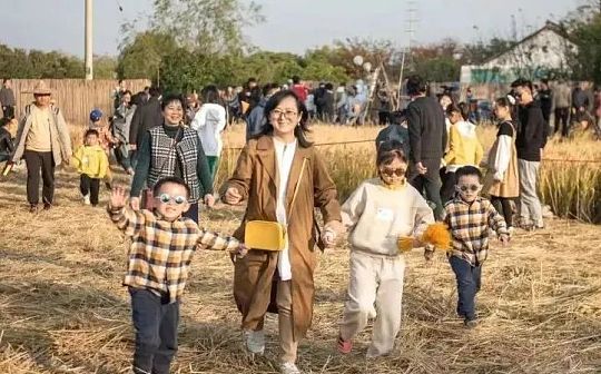崇明稻田“元宇宙” 究竟是一场什么活动?