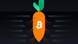 Taproot激活前瞻,一文了解Bitcoiner该做什么_XanPool:football币最新价格消息