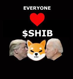 观察 | 感染“狂犬病”的 SHIB,搏傻还是庶民的胜利?_SHI:American Shiba