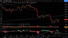 8.31主流币测试支撑后迅速反弹 关注下月能否给到机会布局长线_FINE:BTC