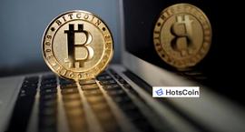 btc单日涨幅最大,数字货币交易平台_OIN:COIN
