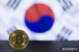 保护投资者,韩国批准首个独立数字资产法案_NET:StepInu