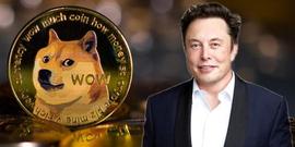 马斯克再挨告,狗狗币带货元凶!控贴柴犬图操纵市场、内线交易_Chain:马斯克放弃狗狗币
