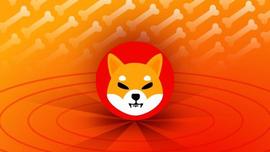 Shiba Inu:3500 名用户预测 SHIB 2023 年 4 月的价格_DOG:Super Shiba