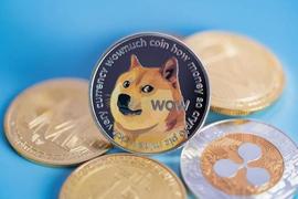 狗狗币价格上涨 10% 将对 200 亿 DOGE 产生这种影响_DOGE:OIN