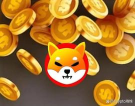 Shiba Inu：在 SHIB 赚了 50 亿美元的投资者失去了钱包？_SHI:SHI3LD