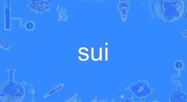 复盘“币圈史上最复杂的项目”Sui_UNI:SAT
