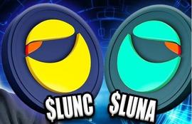 为什么 Luna 和 Classic 今天下跌 LUNA 和 LUNC 能反弹吗?_UNA:LUNC