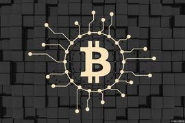 金色观察|一颗“默克尔树” 排不了交易所的“雷”_COIN:Yu Coin