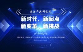 沉淀法二氧化硅行业市场需求分析_科技股:GSI