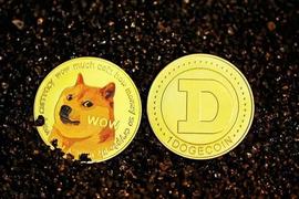 狗狗币:矿工将数百万DOGE添加到储备中,现在怎么办?_DOG:FDOGE币