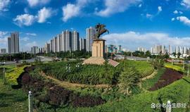 河北邯郸诞80后富豪魏志勇,本是富二代却自力更生,如今身价31亿_ITS:bitstamp交易平台