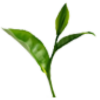 TEA_TEA币价格_TEA最新价格_TEA交易所