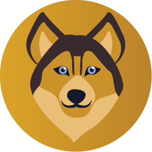 Rin Finance Coin|RIFICO_RIFICO币价格_RIFICO最新价格_RIFICO交易所