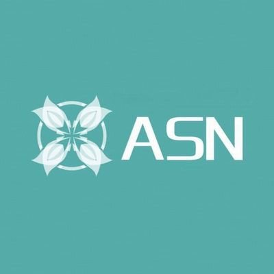 ASN Network|SASN_SASN币价格_SASN最新价格_SASN交易所