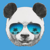 Panda Dao|PDAO_PDAO价格_PDAO最新价格_PDAO交易所