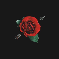 Rose|ROSE_ROSE价格_ROSE最新价格_ROSE交易所