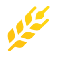 Wheat Token (AVAX)|WHEAT_WHEAT价格_WHEAT最新价格_WHEAT交易所